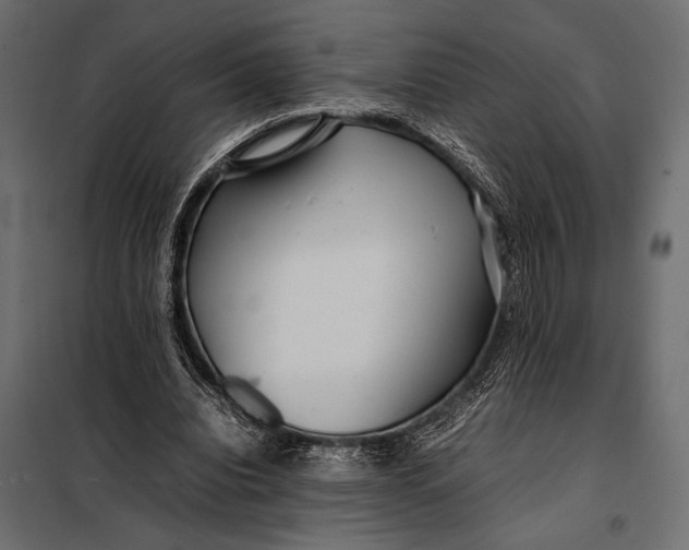 X0000098080440200804251517