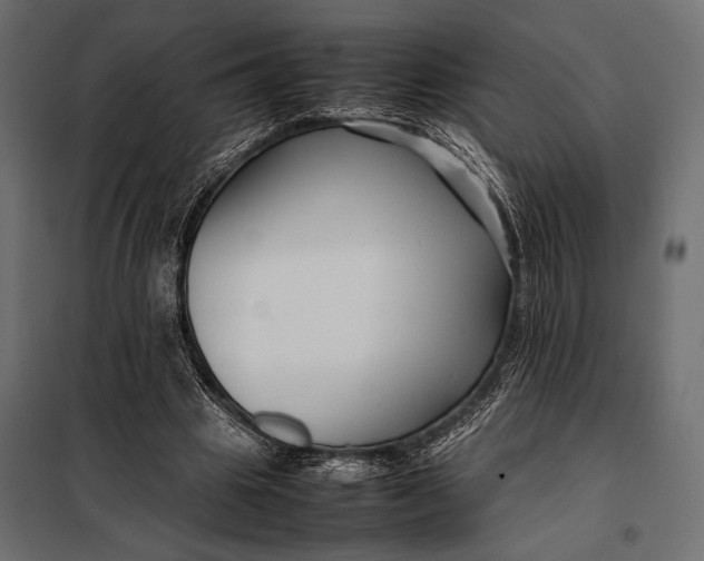 X0000098080441200804251517