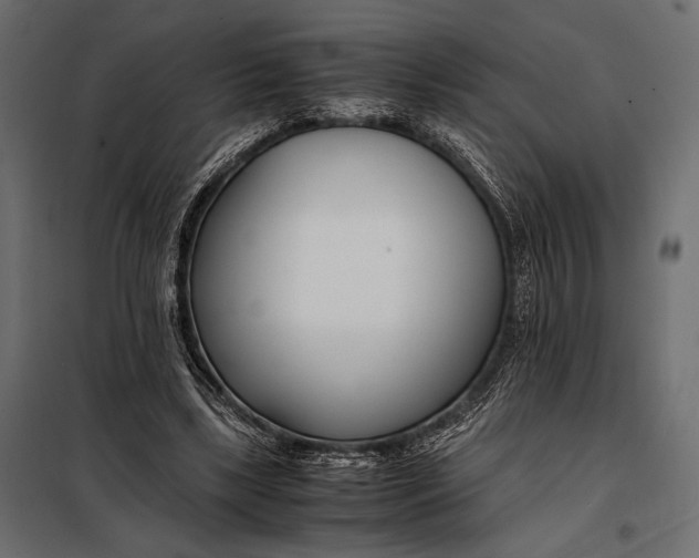 X0000098080443200804251517