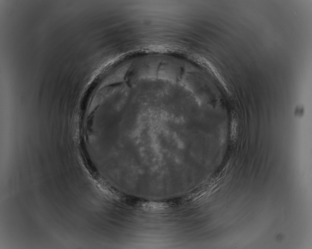 X0000098080444200804251517