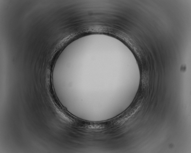 X0000098080445200804251517