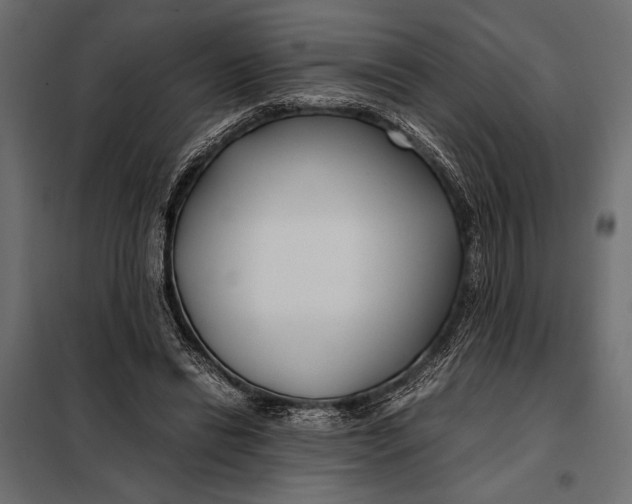 X0000098080446200804251517