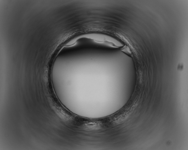 X0000098080447200804251517