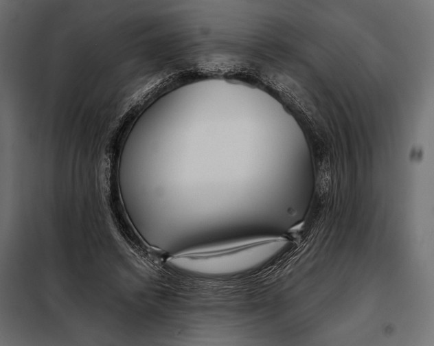 X0000098080448200804251517