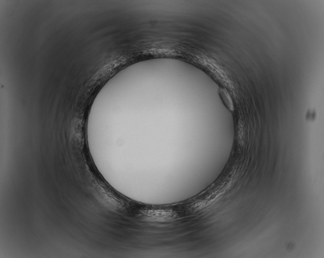 X0000098080449200804251517