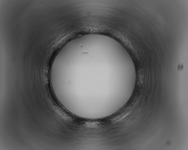 X0000098080450200804251517