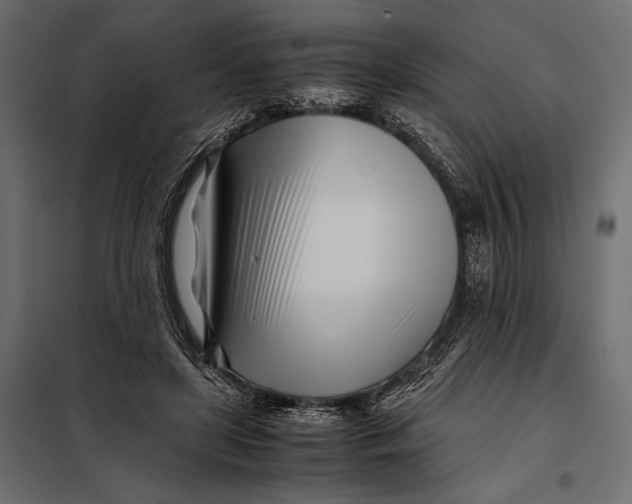 X0000098080451200804251517