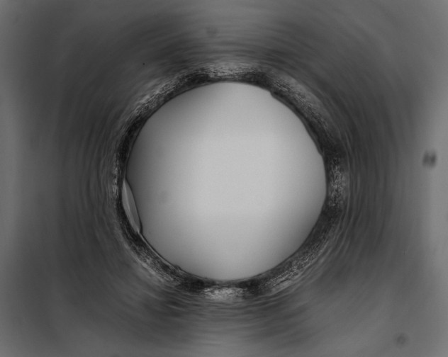 X0000098080452200804251517