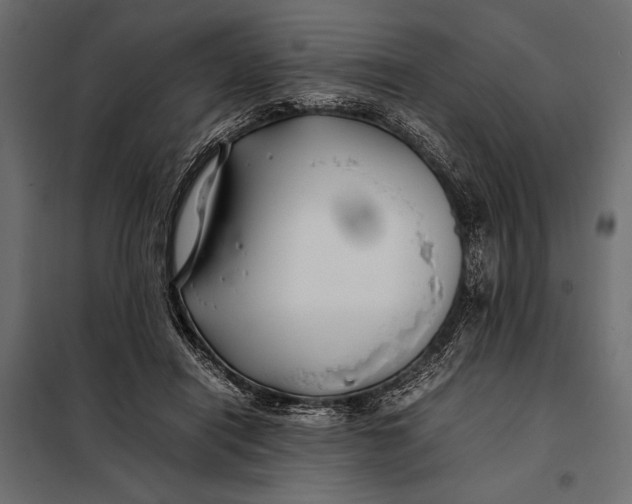 X0000098080454200804251517