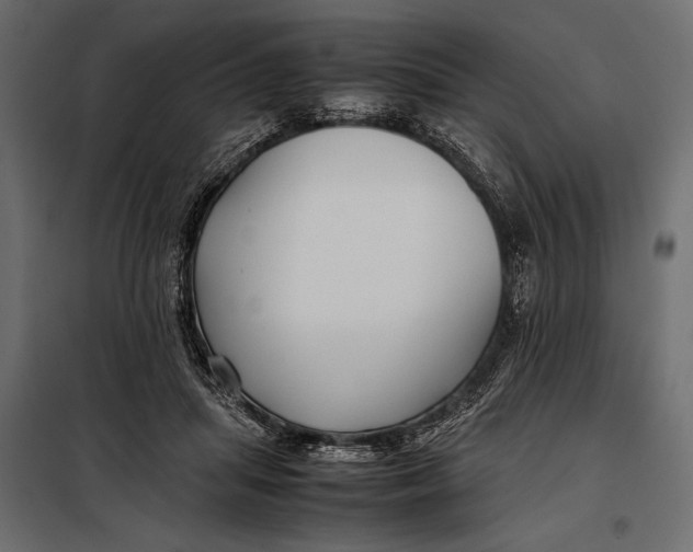 X0000098080455200804251517