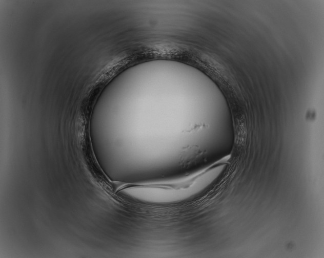 X0000098080456200804251517