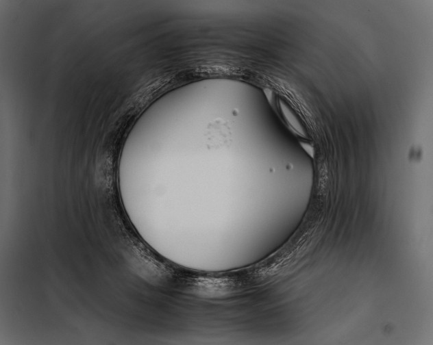 X0000098080457200804251517