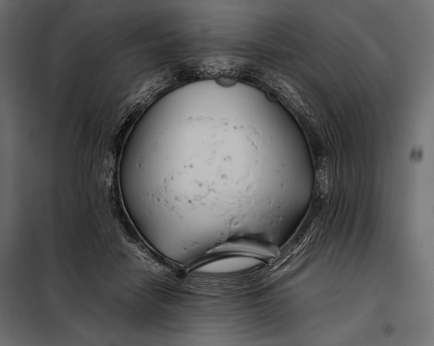 X0000098080458200804251517