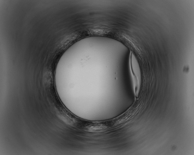 X0000098080459200804251517