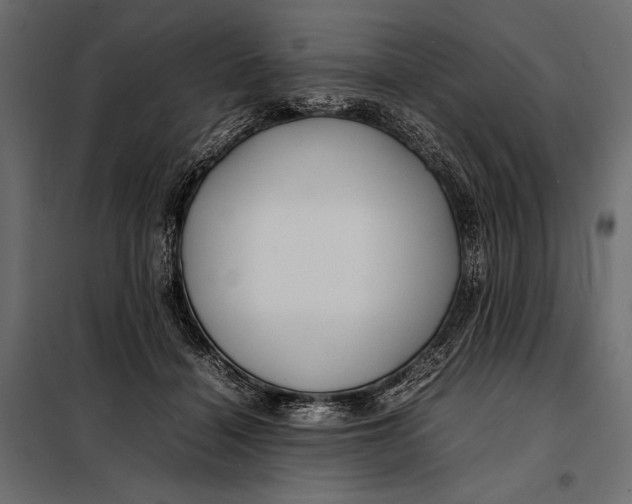 X0000098080460200804251517