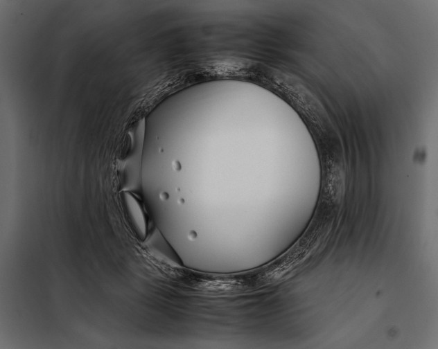 X0000098080461200804251517