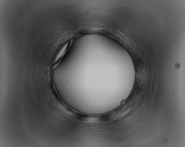 X0000098080462200804251517