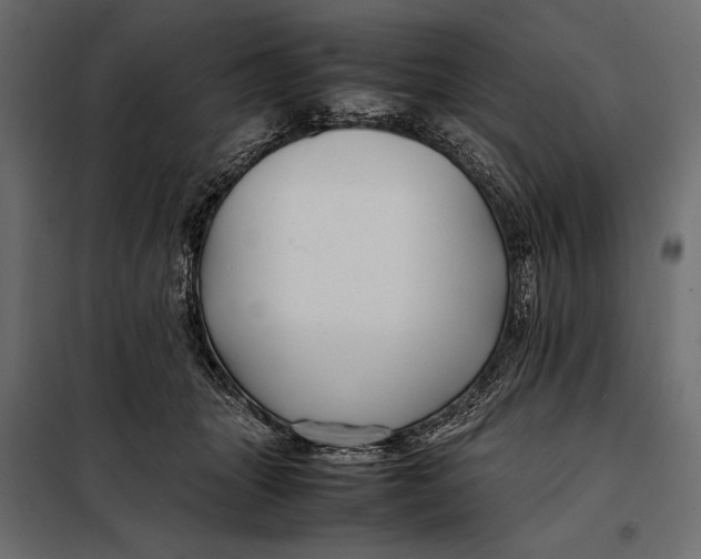 X0000098080463200804251517