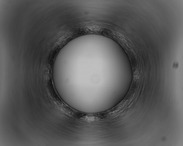 X0000098080464200804251517