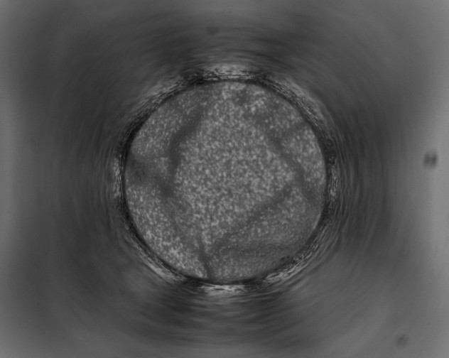 X0000098080465200804251517