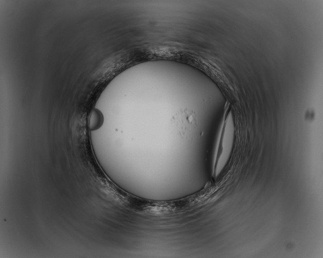 X0000098080466200804251517