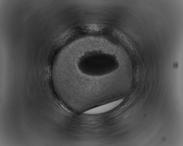 X0000098080467200804251517