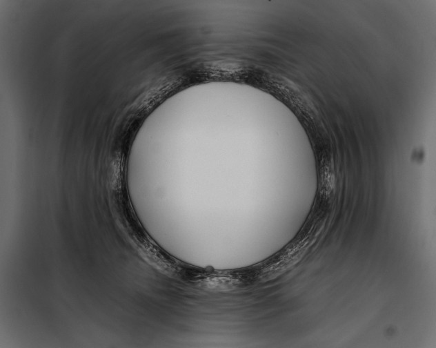 X0000098080468200804251517