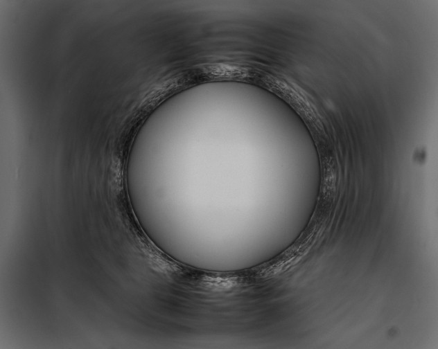 X0000098080469200804251517