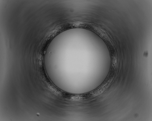 X0000098080470200804251517