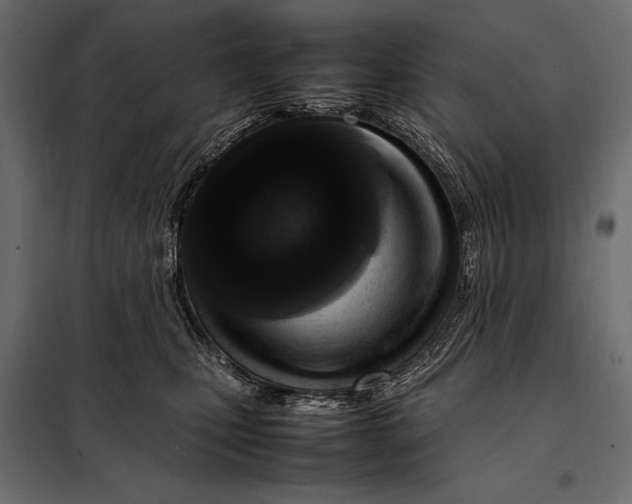 X0000098080471200804251517