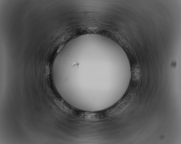 X0000098080472200804251517