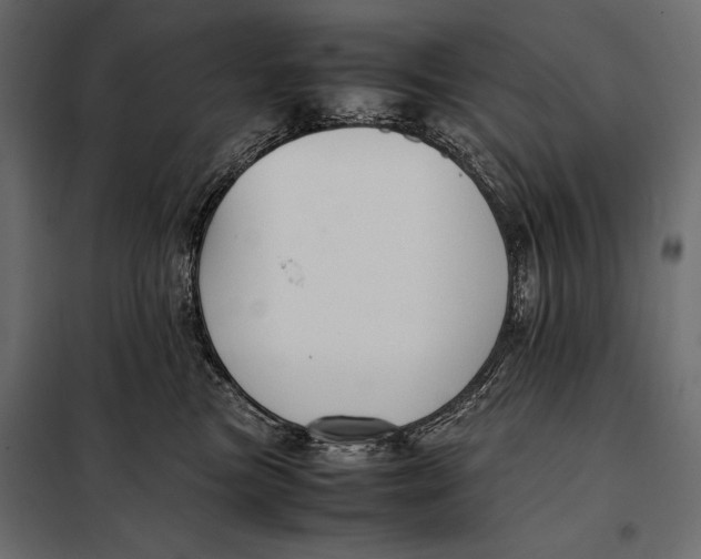 X0000098080473200804251517