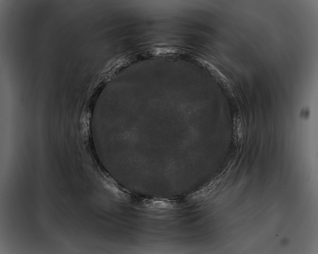 X0000098080475200804251517