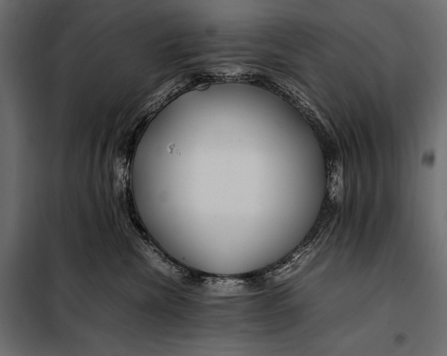 X0000098080476200804251517