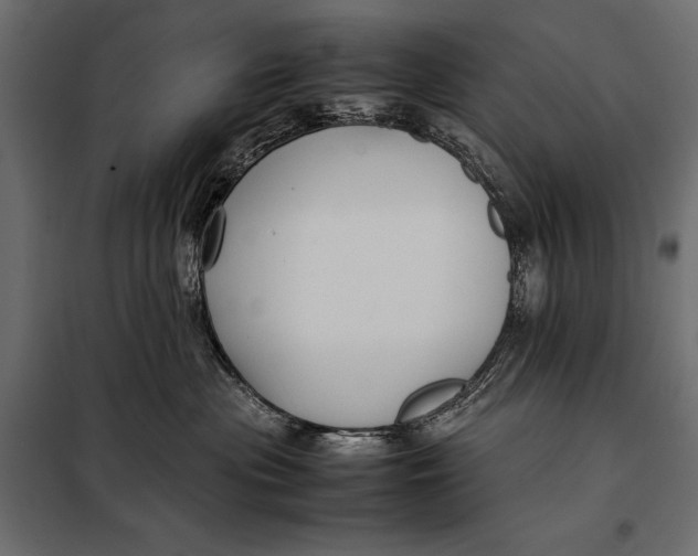 X0000098080477200804251517