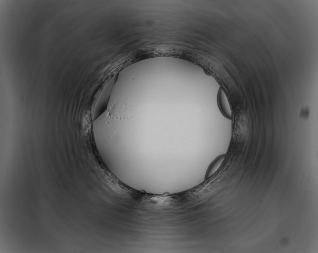 X0000098080478200804251517