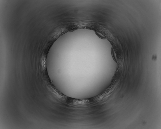 X0000098080479200804251517