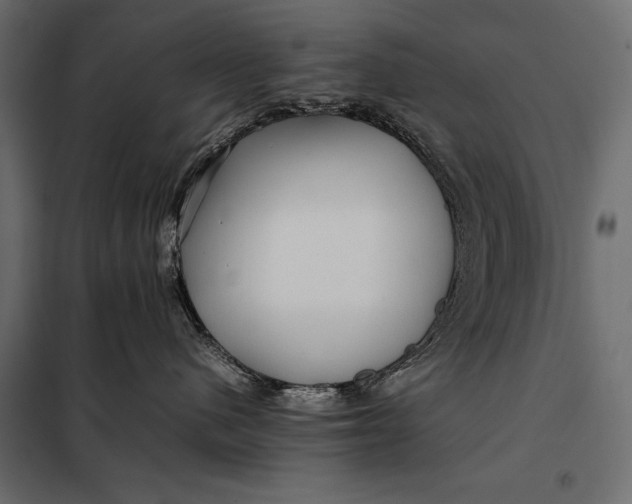 X0000098080480200804251517