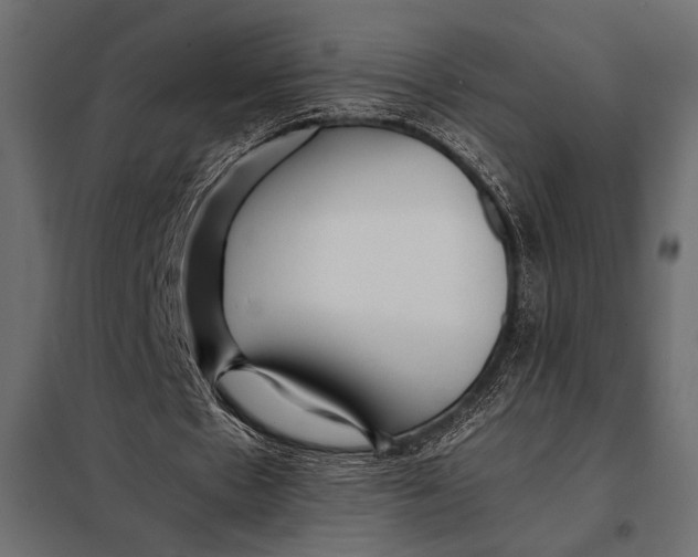 X0000098080481200804251517