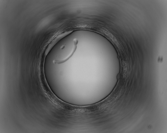 X0000098080482200804251517