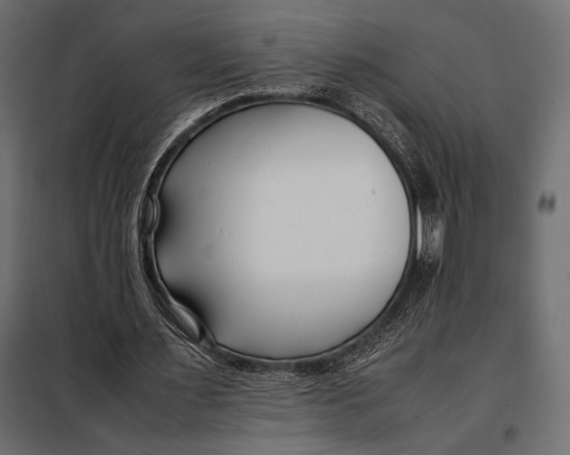 X0000098080483200804251517