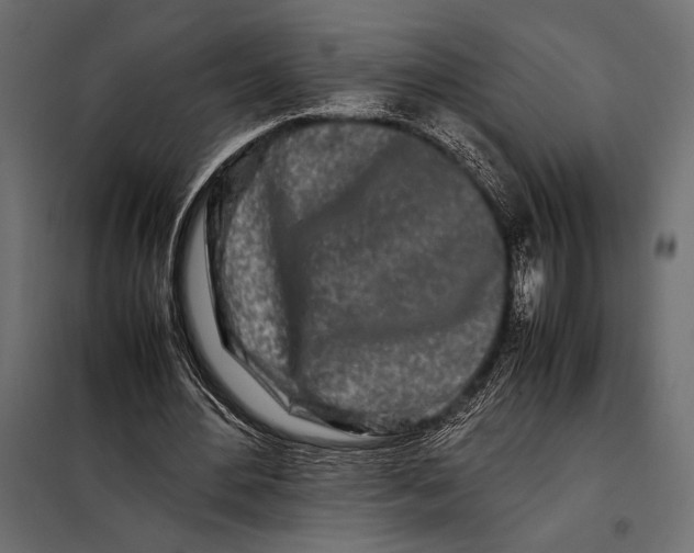 X0000098080484200804251517