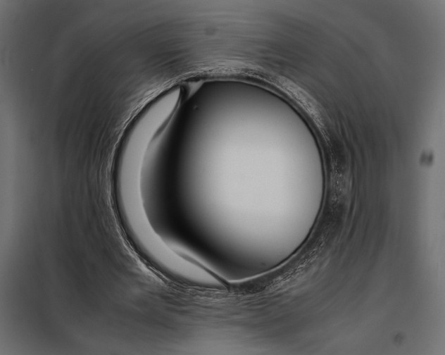 X0000098080485200804251517