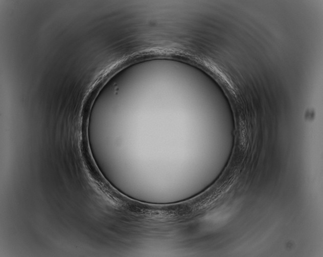 X0000098080486200804251517