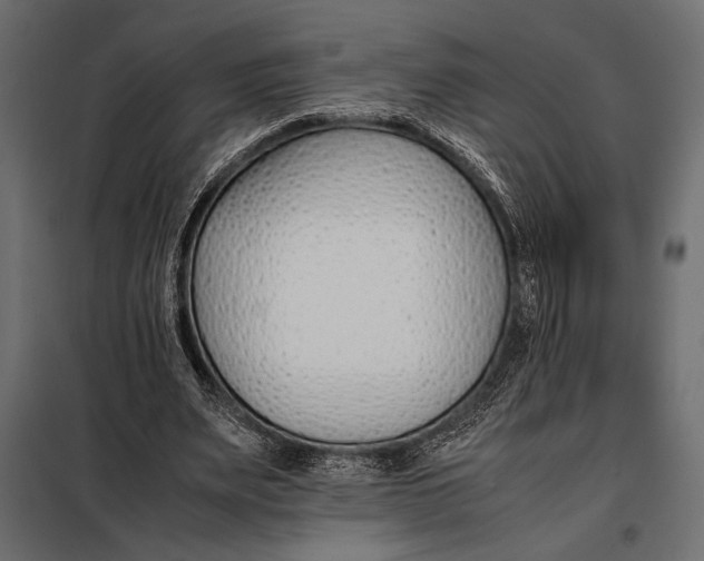 X0000098080487200804251516