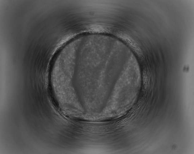 X0000098080488200804251516