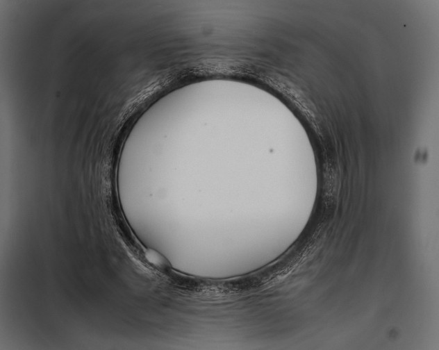 X0000098080489200804251516