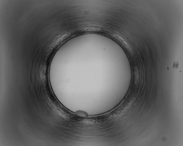 X0000098080490200804251516