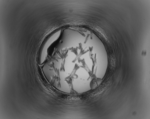 X0000098080491200804251516