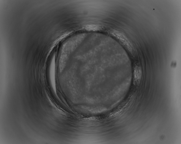 X0000098080492200804251516